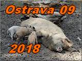  Ostrava 2018
